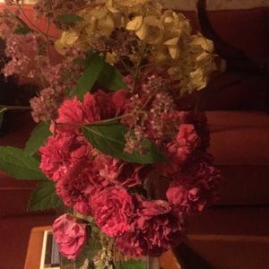 Meet your Posher, Dan